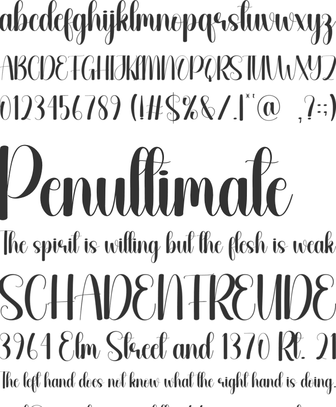 Kindred font preview