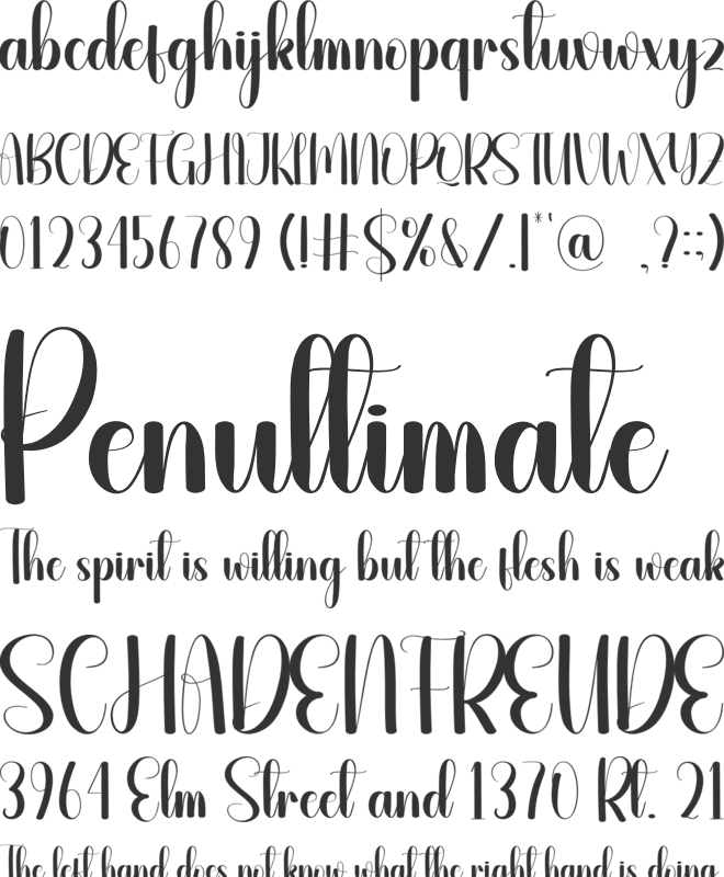 Barbershop font preview