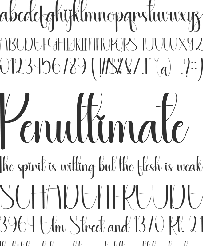 Revision font preview