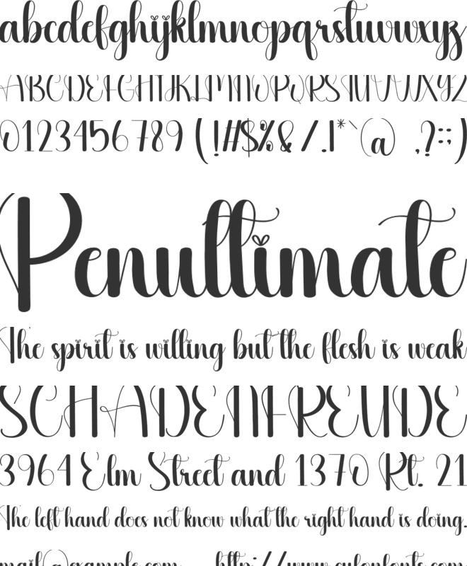 Preparation font preview