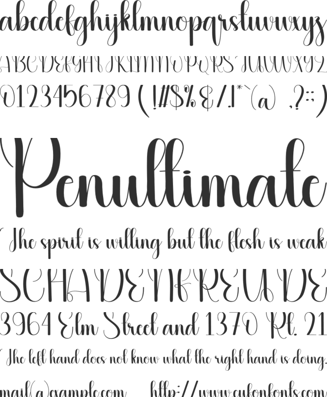 Penmanship font preview