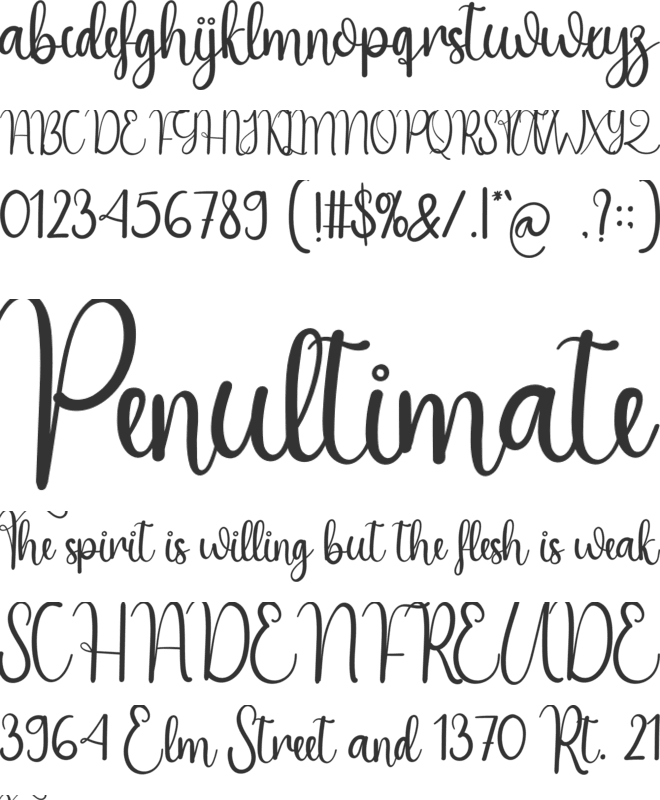 Online Store font preview