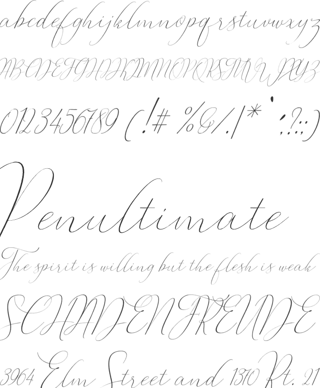 Baby Whale font preview