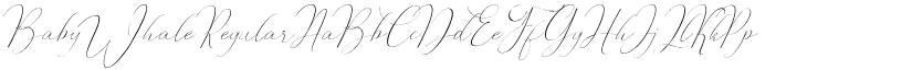 Baby Whale Regular font