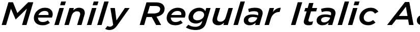 Meinily Regular Italic font