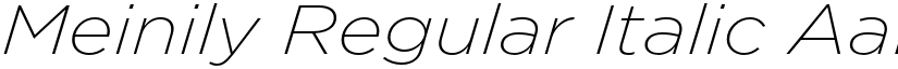 Meinily Regular Italic font