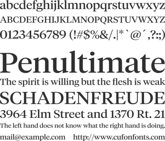 Navitism font preview