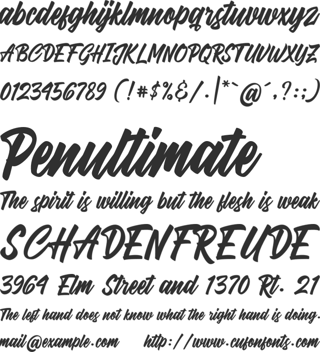 Dartybe Script font preview