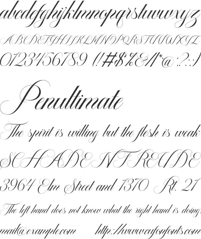 The Dellgado font preview