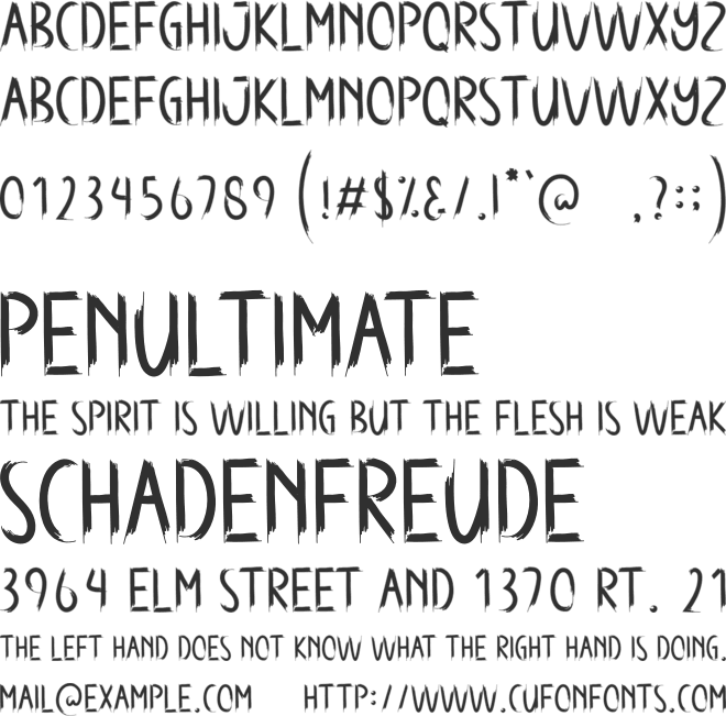 Never House font preview