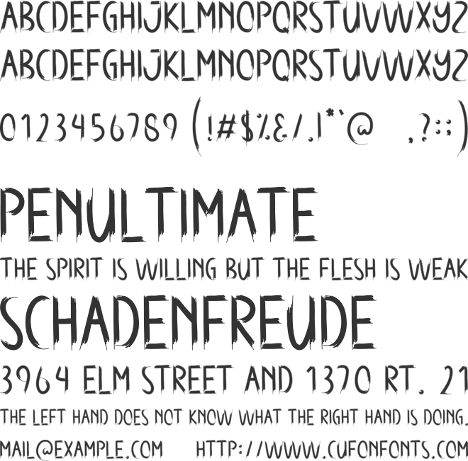 Never House font preview