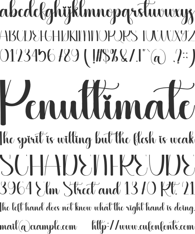 Vacations font preview