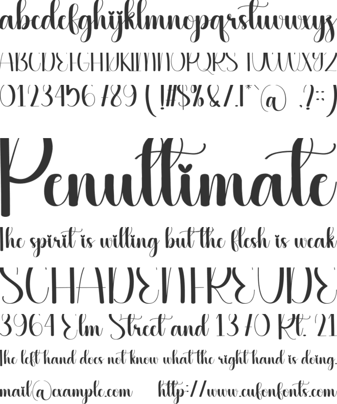 Vacations font preview