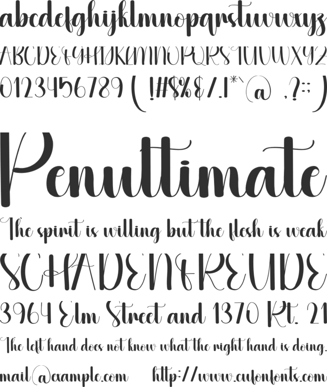 Swanky font preview