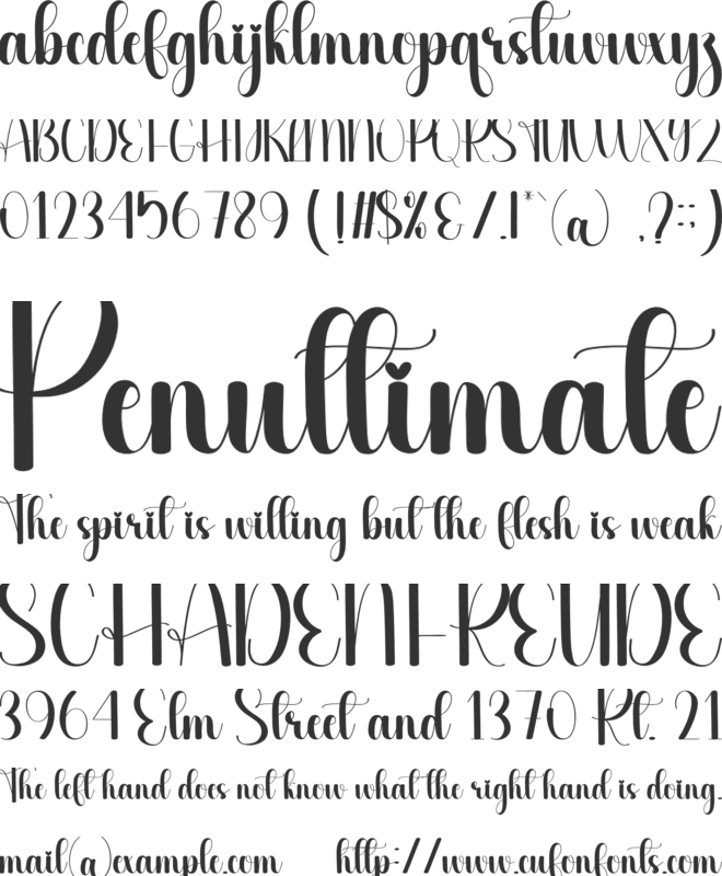 Studytour font preview