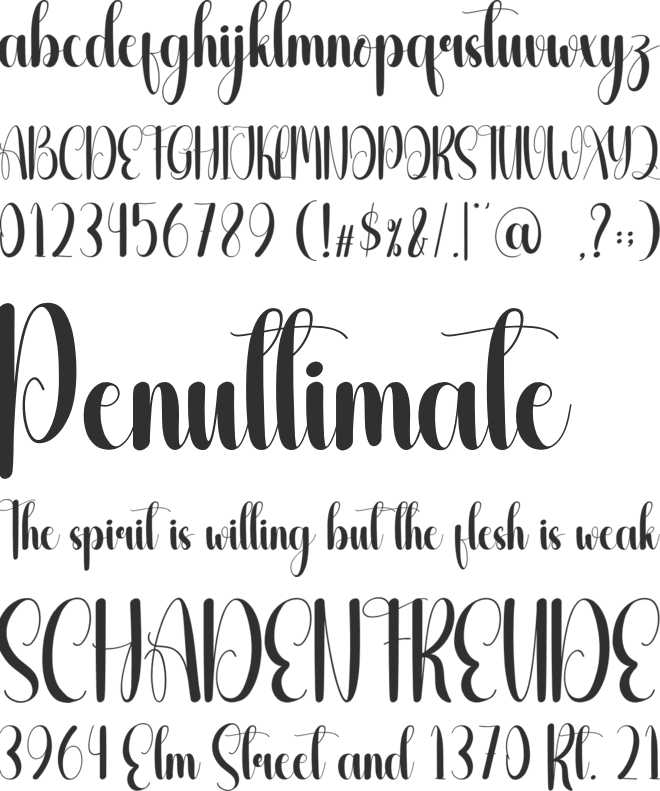 Rallying font preview