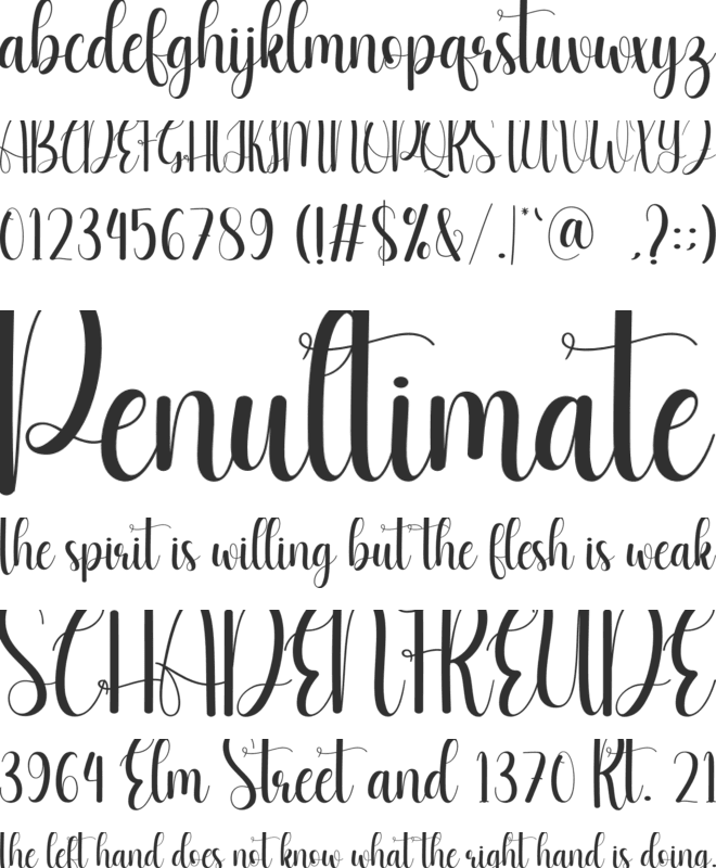 Anymore font preview