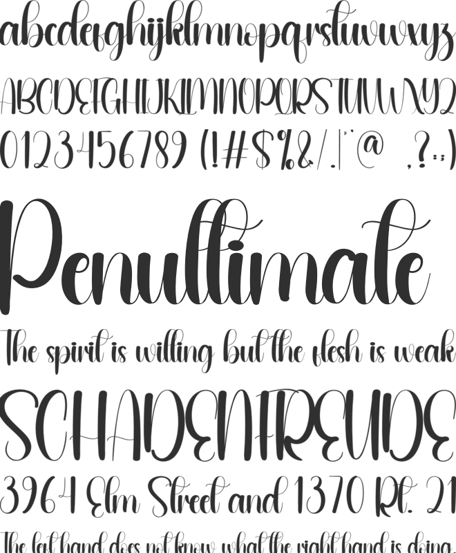 Orderly font preview