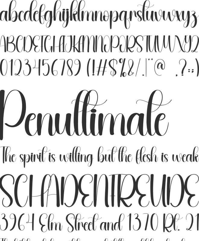 Meaty font preview