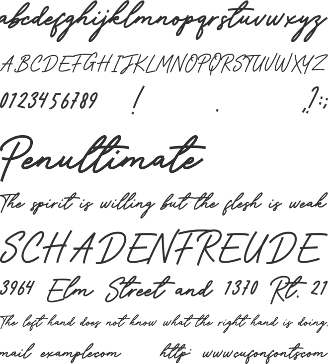 Witches Friend Script font preview