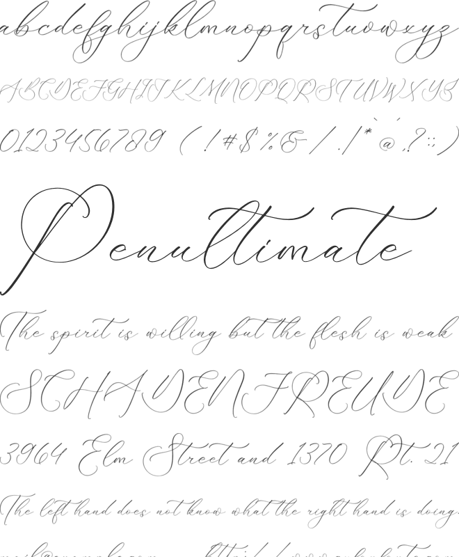 Florens Script font preview