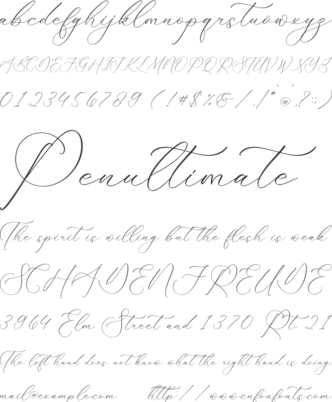 Florens Script font preview