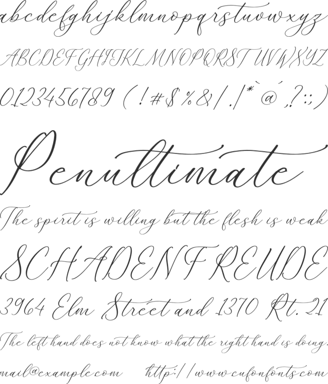 Adoretta Holland Script font preview