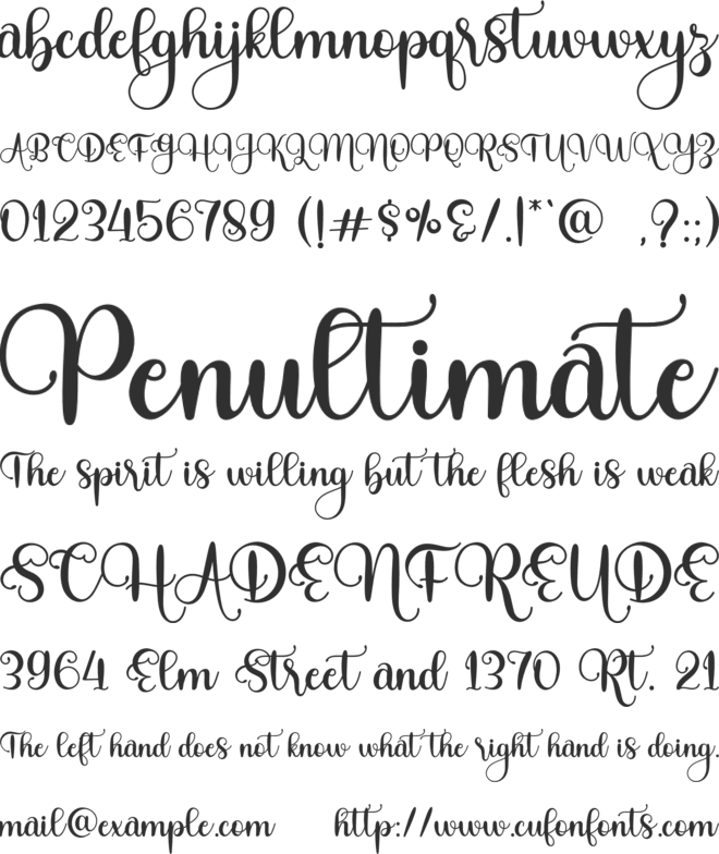 Royalty Saturday font preview