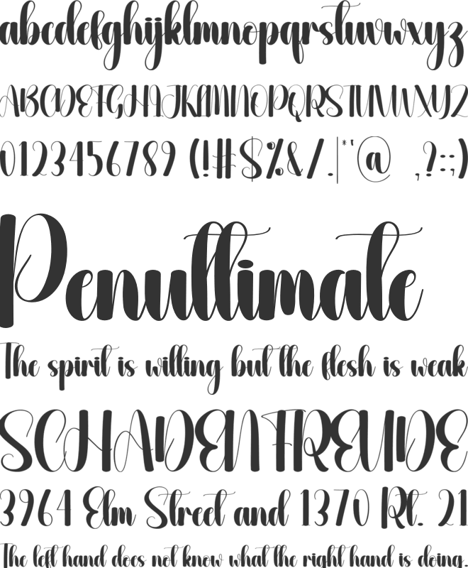 Snackjar font preview
