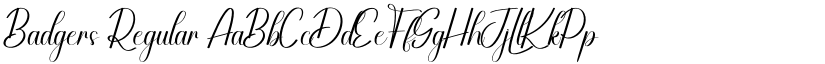 Badgers Regular font