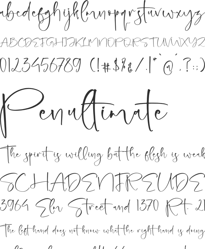 Rushelian Wilmoth font preview