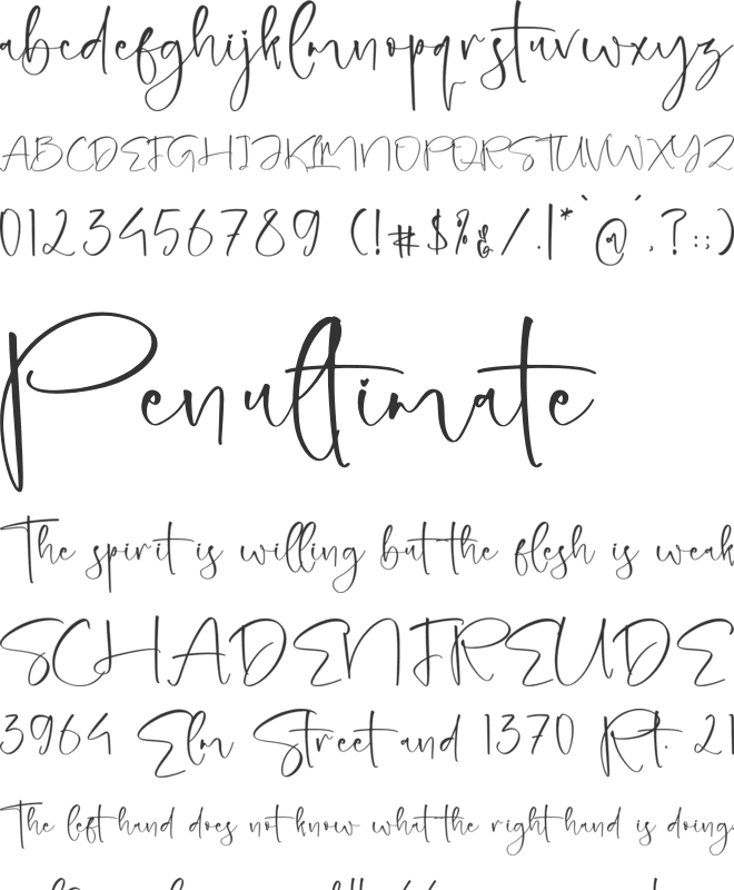 Rushelian Wilmoth font preview