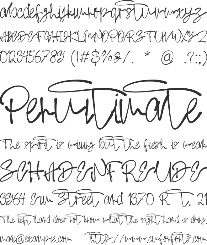 Sektor Coffee font preview