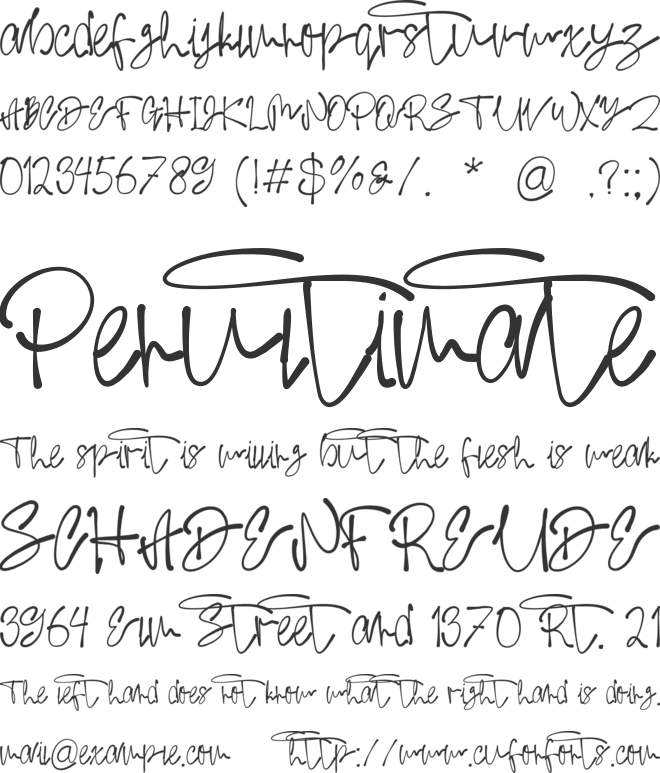 Sektor Coffee font preview