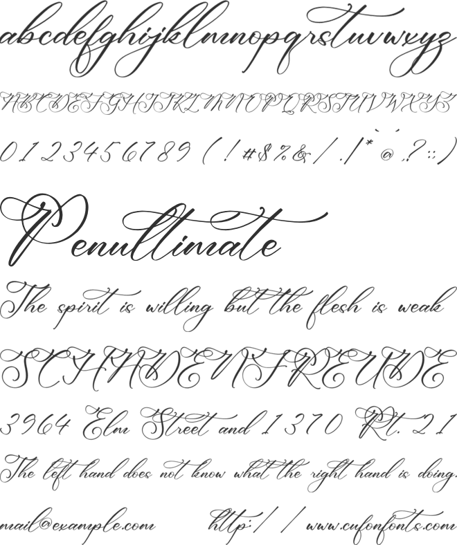 Ethena Emporium Script font preview