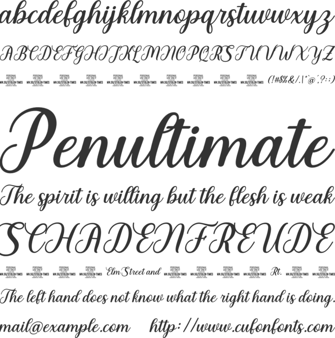 Stolen Times PERSONAL USE font preview