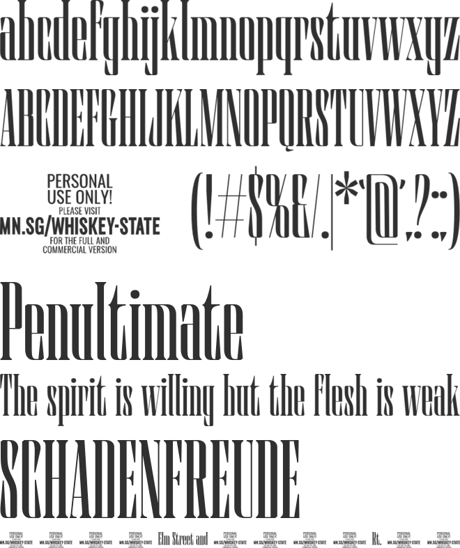 Whiskey State PERSONAL USE font preview