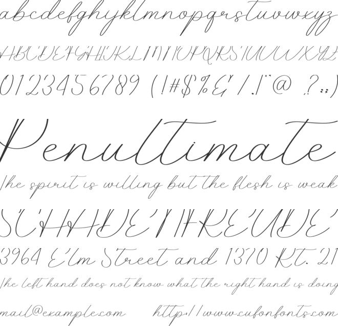 Giovany font preview