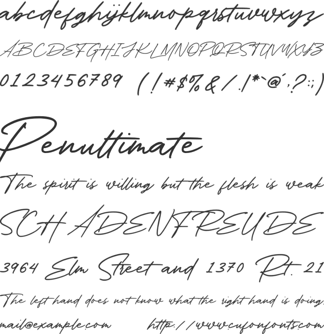 Hilliamoon font preview