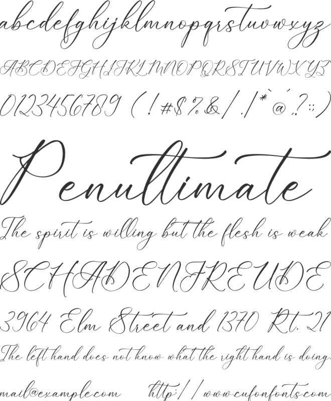 Enchanted Hermion Script font preview