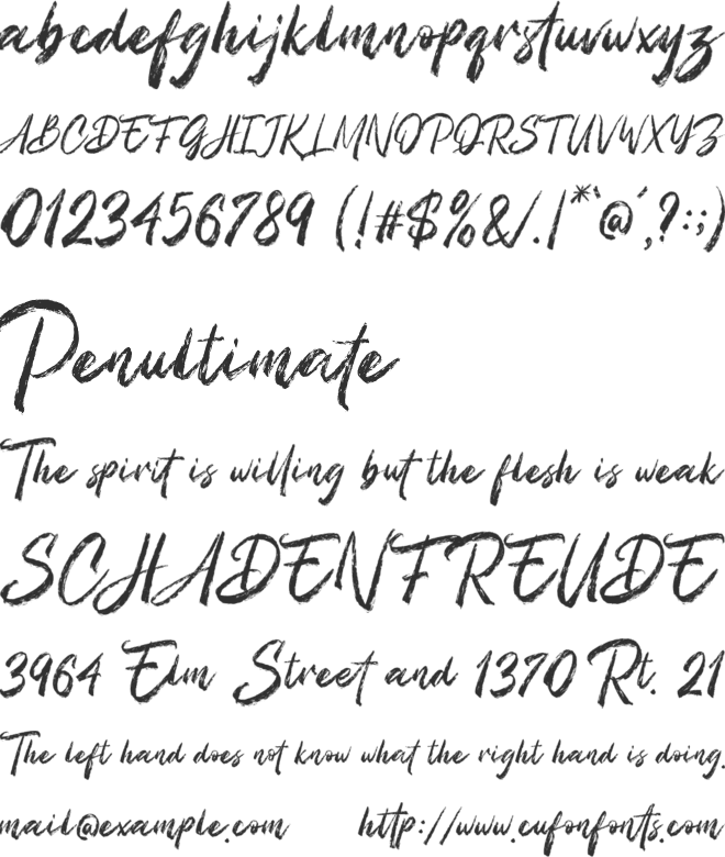 Fenggasta font preview