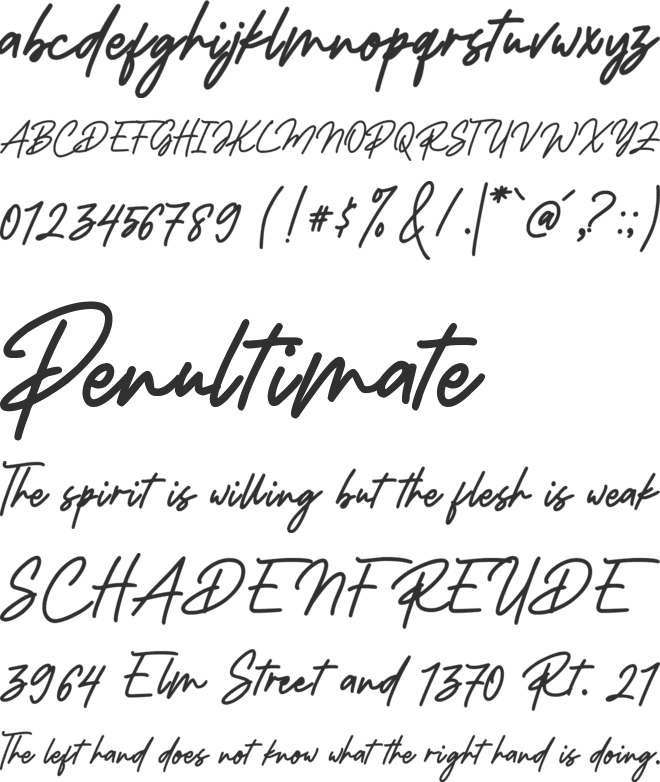 The Ahmedians font preview