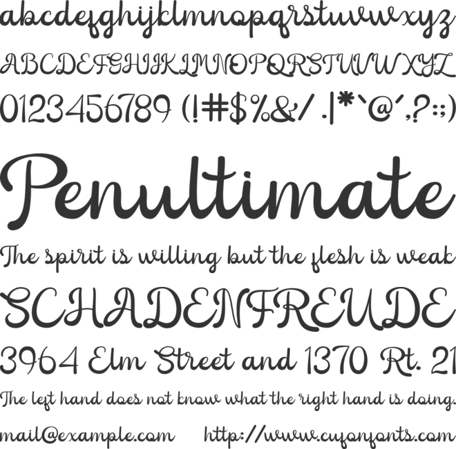 Caneline font preview