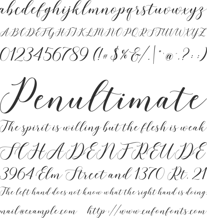 love rose font preview