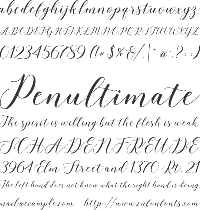 love rose font preview