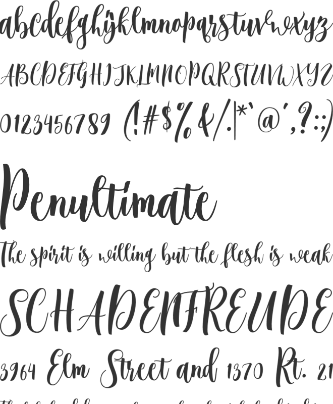 Hollistic font preview