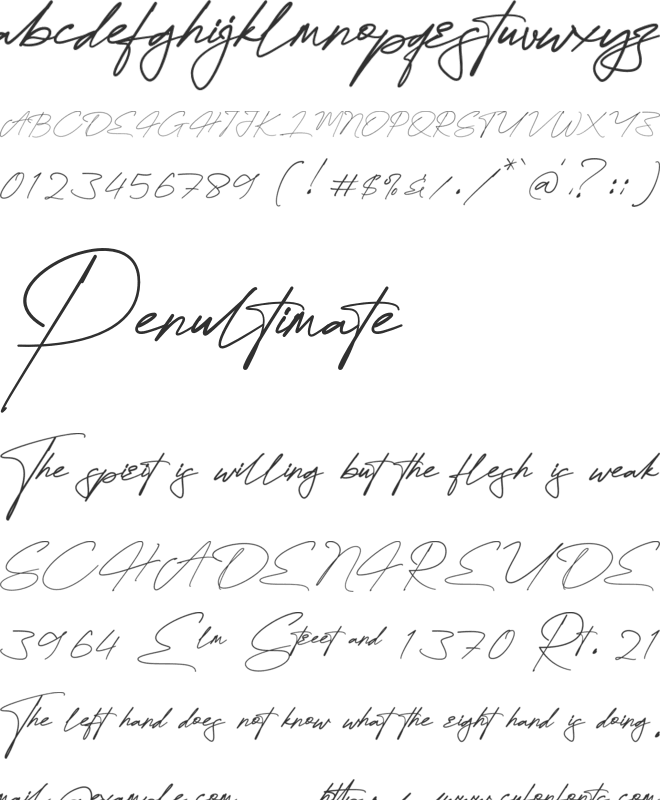 Dellany Signature font preview