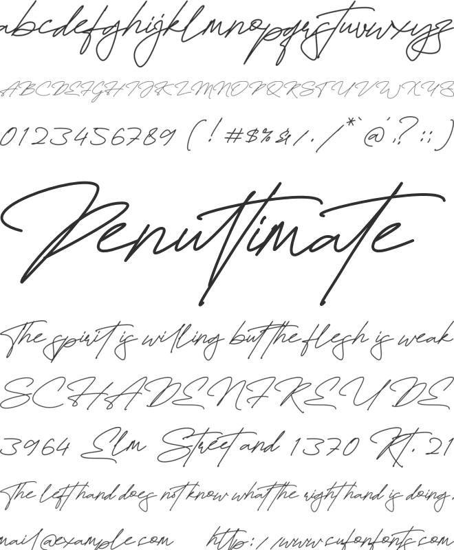Fayetteville Signature font preview