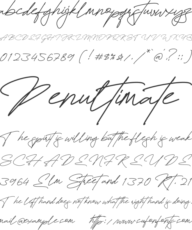 Fayetteville Signature font preview