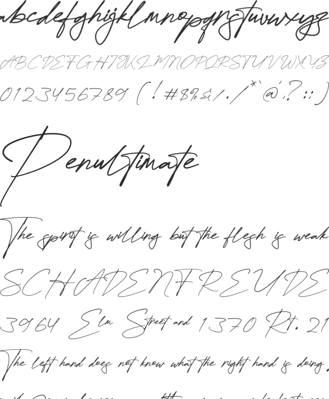 Attallia Signature font preview
